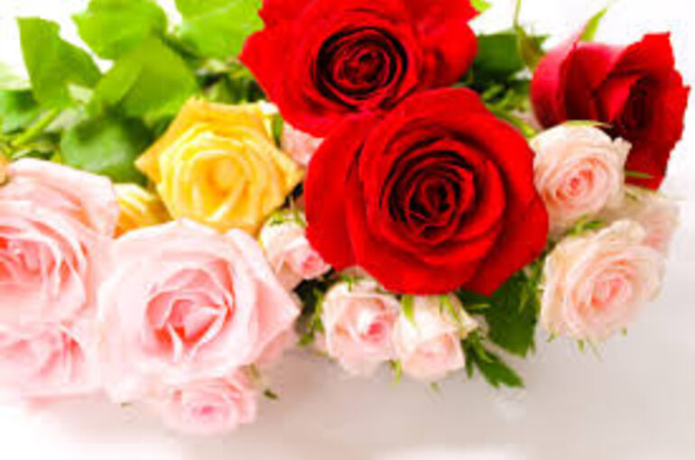 343_IMG_1913_2-2-1024x682