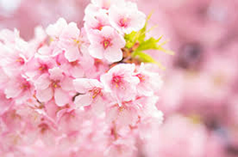 photo0000-4234