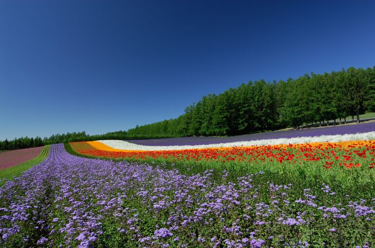 landing01_l